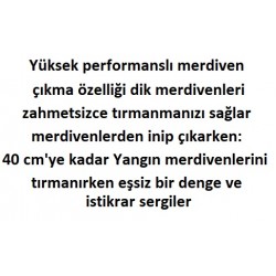 2 İlk Yardım köpeği